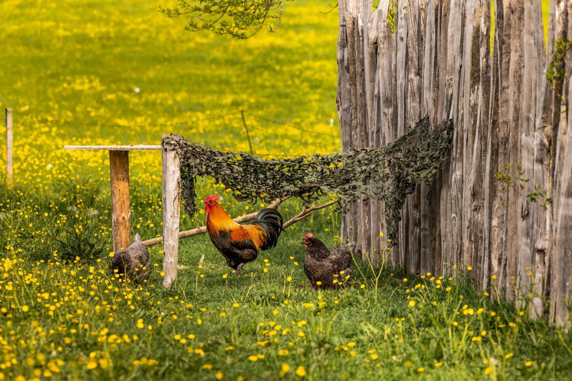 Ferienwohnungen Am Gablerhof Bad Reichenhall Ngoại thất bức ảnh