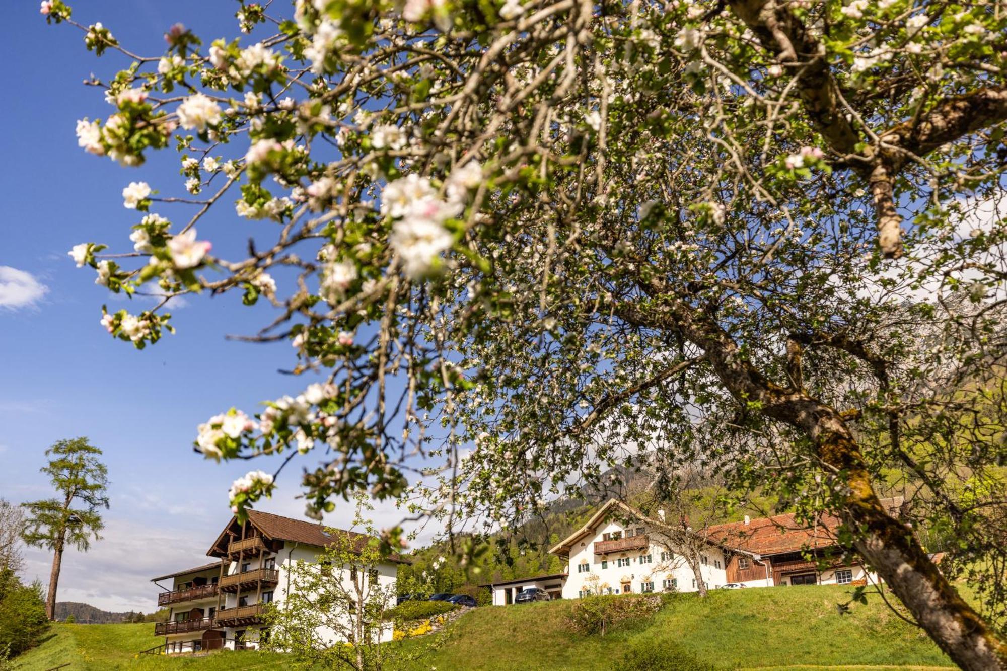 Ferienwohnungen Am Gablerhof Bad Reichenhall Ngoại thất bức ảnh